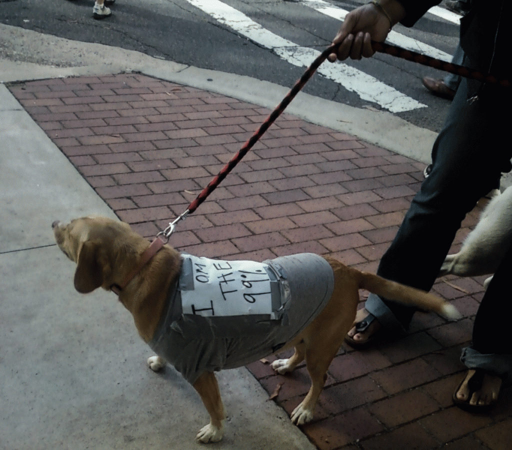 Dog claims to be one of the 99 percent. (photo by Sitton)